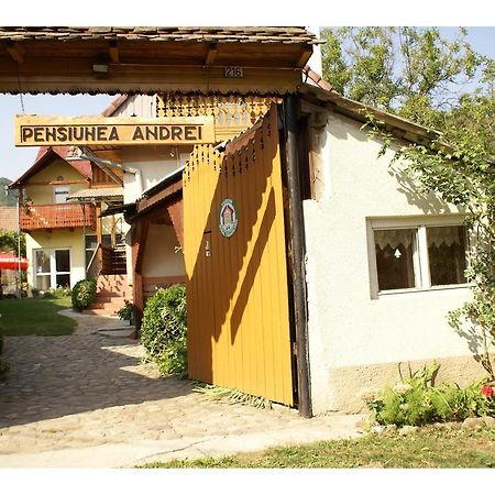 Pensiunea Andrei Sibiel Exterior foto