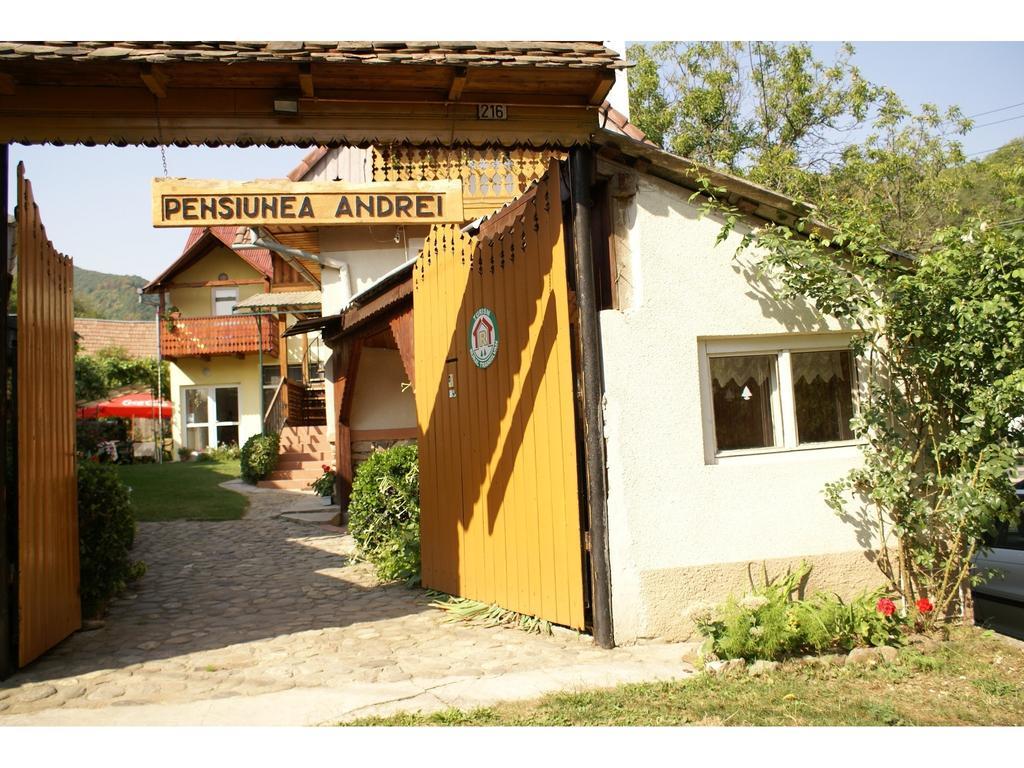 Pensiunea Andrei Sibiel Exterior foto